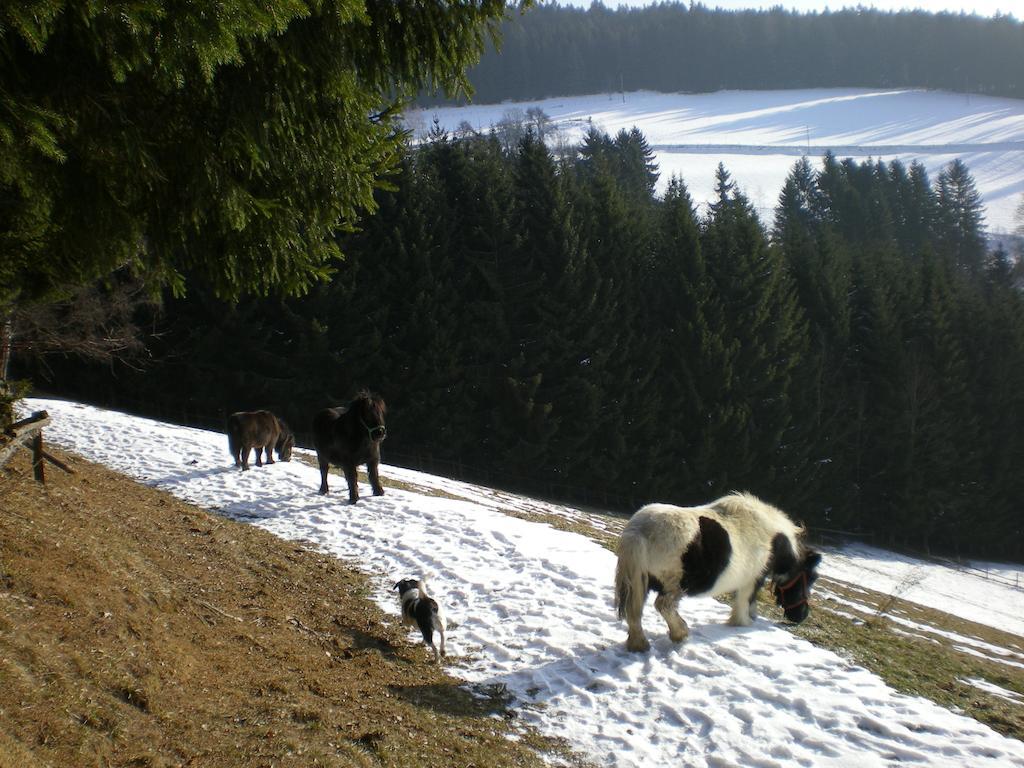 Schlintl-Hof Villa Liebenfels Eksteriør bilde