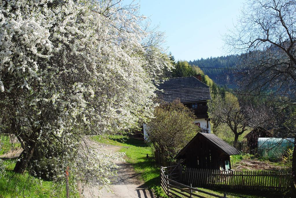 Schlintl-Hof Villa Liebenfels Eksteriør bilde