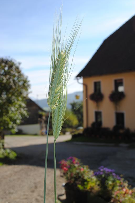 Schlintl-Hof Villa Liebenfels Eksteriør bilde