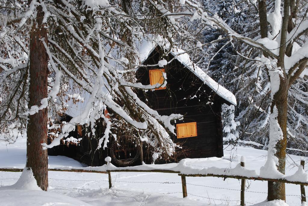 Schlintl-Hof Villa Liebenfels Eksteriør bilde